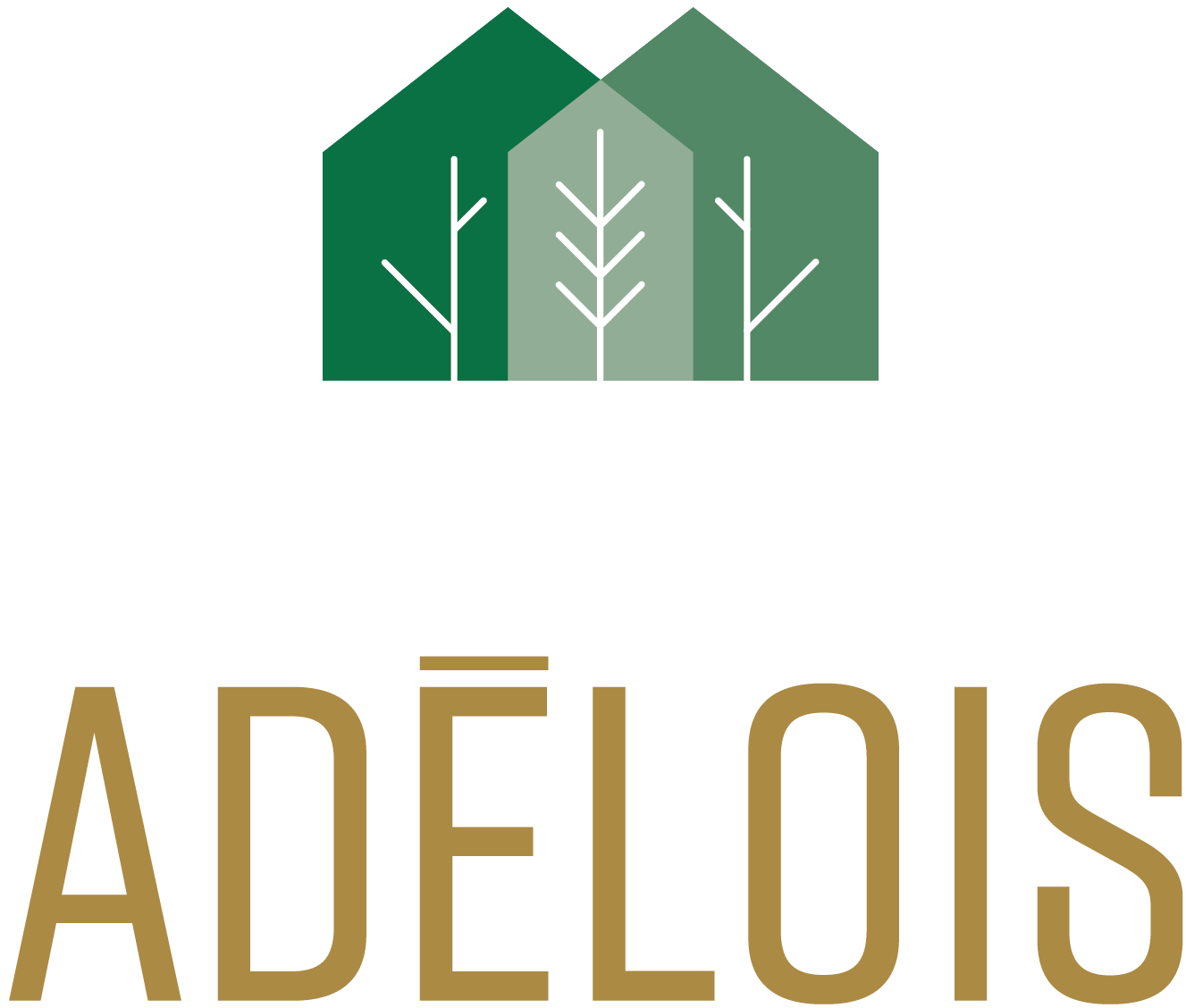 adelois logo - Contact - Les habitations Innovatel